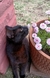 Mate - OLIVER en internet