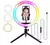 Kit ring Light Atacado leve 3 - comprar online