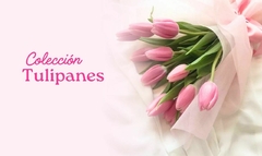 Banner de la categoría Tulipanes