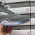 Air Jordan 5 en internet