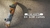 Carrusel L&C Skate Shop