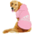 Cachorro Golden vestindo Casaco de Moletom Adidog para pets, cachorro grande, modelo fechado com mangas e capuz , com estampa ADIDOG  na cor rosa - produto importado.