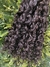 Cacho Caipira Indiano – 55cm - comprar online
