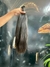 Brasileiro 50/55cm - comprar online