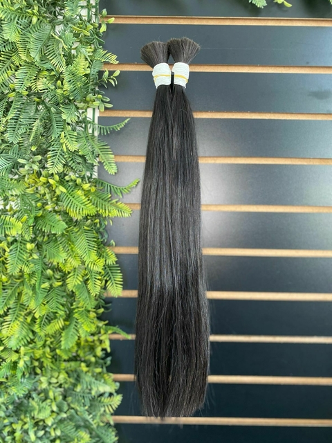 Vietnamita Liso Castanho - comprar online