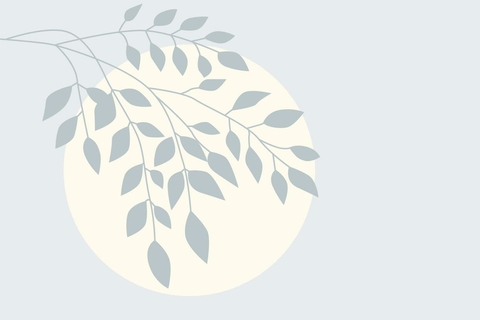 Carrusel 1