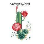 Vivero Raíces