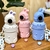 Botella Rabbit con Termómetro - comprar online