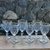 Copas de Vino Borde Dorado