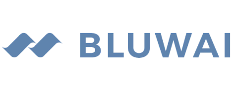 Bluwai Swimwear