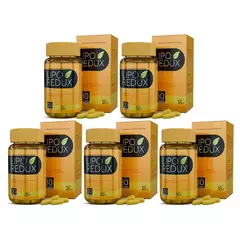 5 LipoRedux - Fit - comprar online