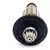 Kit Induzido E Escovas para Esmerilhadeira Bosch GWS850 / 1604010B9G / 1607014145 - 220V - Grafenyl