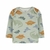 Conjunto 4 pecas body camiseta calca dinossauro Carters - Koltrim Kids