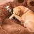 Cama Pet Luxo - loja online