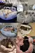 Cama Pet Luxo - loja online