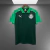 Camisa Palmeiras - Modelo Polo - Verde