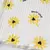 REMERA DAISY CCA en internet
