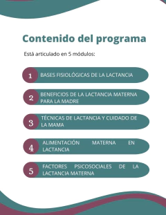 CURSO LACTANCIA MATERNA PARA PROFESIONALES DE LA SALUD