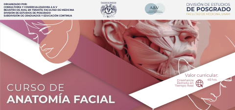 Imagen del carrusel Cedeep