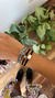 pulsera Hamsa en internet