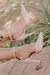 Scarpin Dinorah