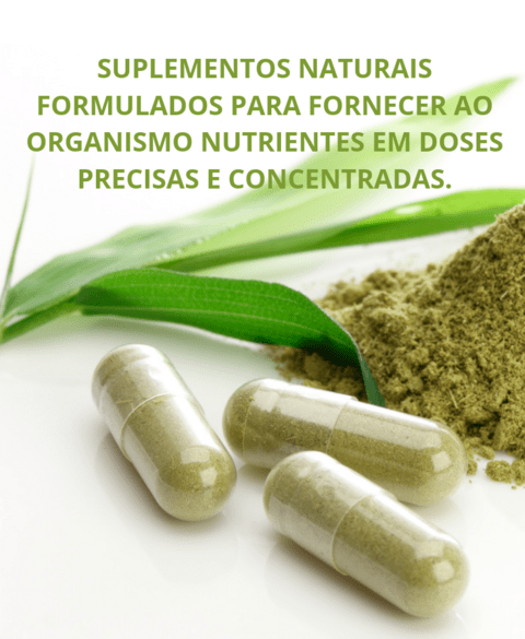 Carrossel 1