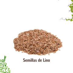Semillas de Lino