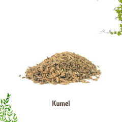 Kumel