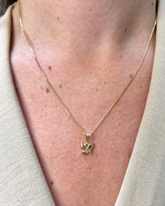 Conjunto de Borboleta na internet