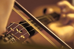 Banner de la categoría Instrumentos de arco