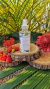 HOME SPRAY | DOCE ENCANTO