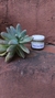 Bálsamo labial / ungüento reparador 100% vegetal - comprar online