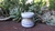 Desodorante natural 100% vegetal