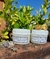 Crema Facial vegana con ácido hialurónico natural