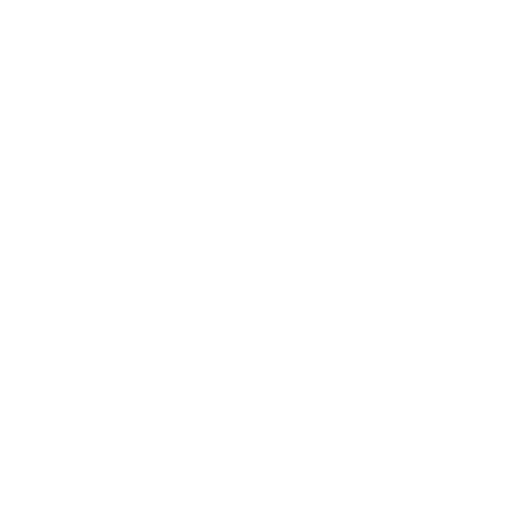 Vibe Geek Store