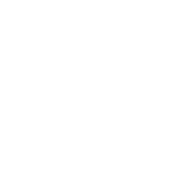 Vibe Geek Store
