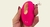 Vibrador de Calcinha por Aplicativo