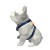 Peitoral H para Cães Dark Blue - Detalhes Laranja - comprar online