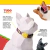 Coleira para Cães Fun - OLIEPET