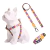Kit Peitoral Americano + Coleira + Guia para Cães Arco Íris - comprar online