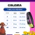 Coleira para Cães Black - Detalhes Verde - loja online