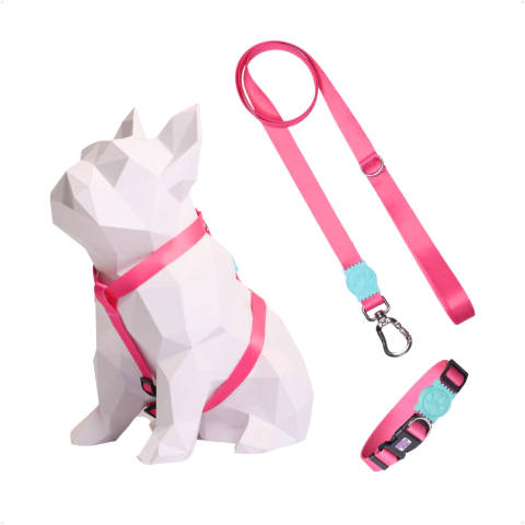 Kit Peitoral H + Coleira + Guia para Cães Pink - Detalhes Tiffany - comprar online