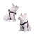 Kit Peitoral Americano + Coleira + Guia para Cães Black - Detalhes Verdes na internet