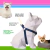 Imagem do Kit Peitoral Americano + Coleira + Guia para Cães Dark Blue - Detalhes Laranja