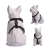 Kit Peitoral H + Coleira + Guia para Cães All Black na internet