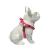 Peitoral Americano para Cães Pink - OLIEPET
