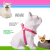Peitoral Americano para Cães Pink - loja online