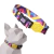 Coleira para Cães Passarela - comprar online
