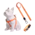 Kit Peitoral Americano + Coleira + Guia para Cães Laranja Neon - comprar online