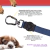 Guia para Cães Dark Blue na internet